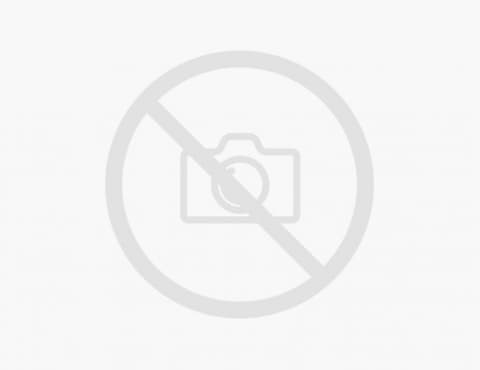 Lux Parking – Premium